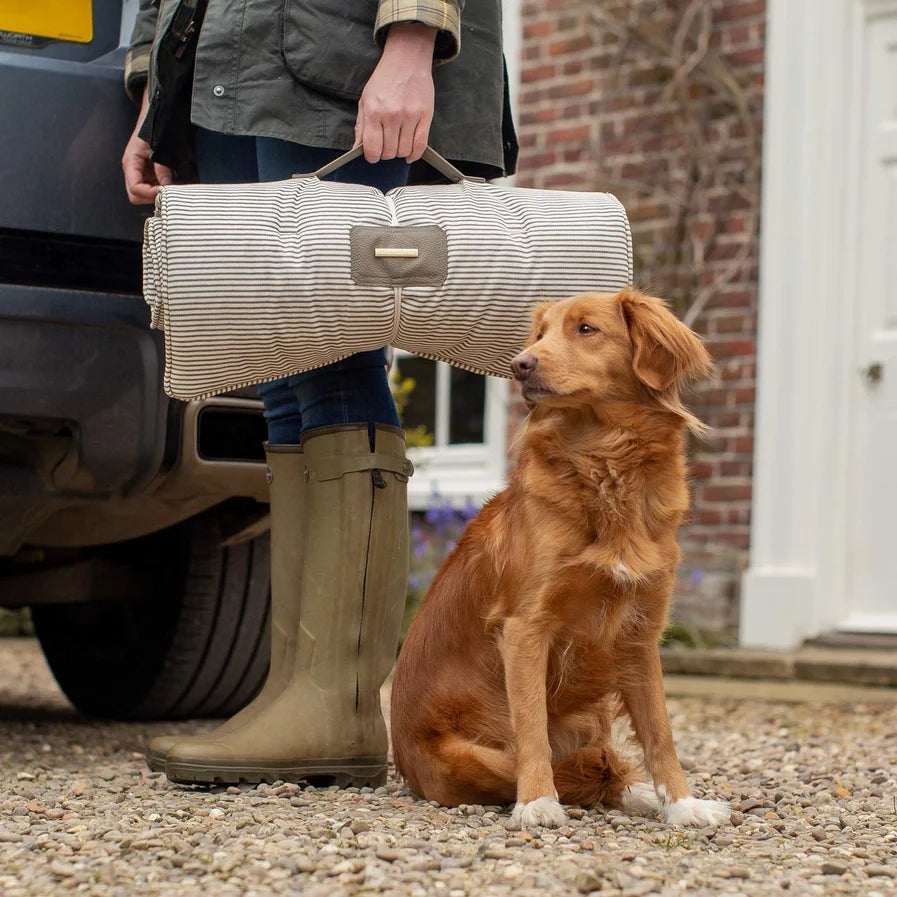 Dog Beds and Blankets