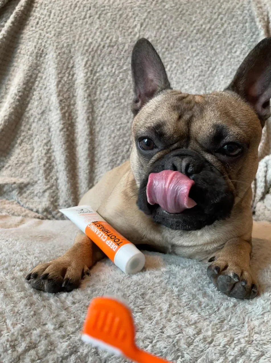 Dog Grooming