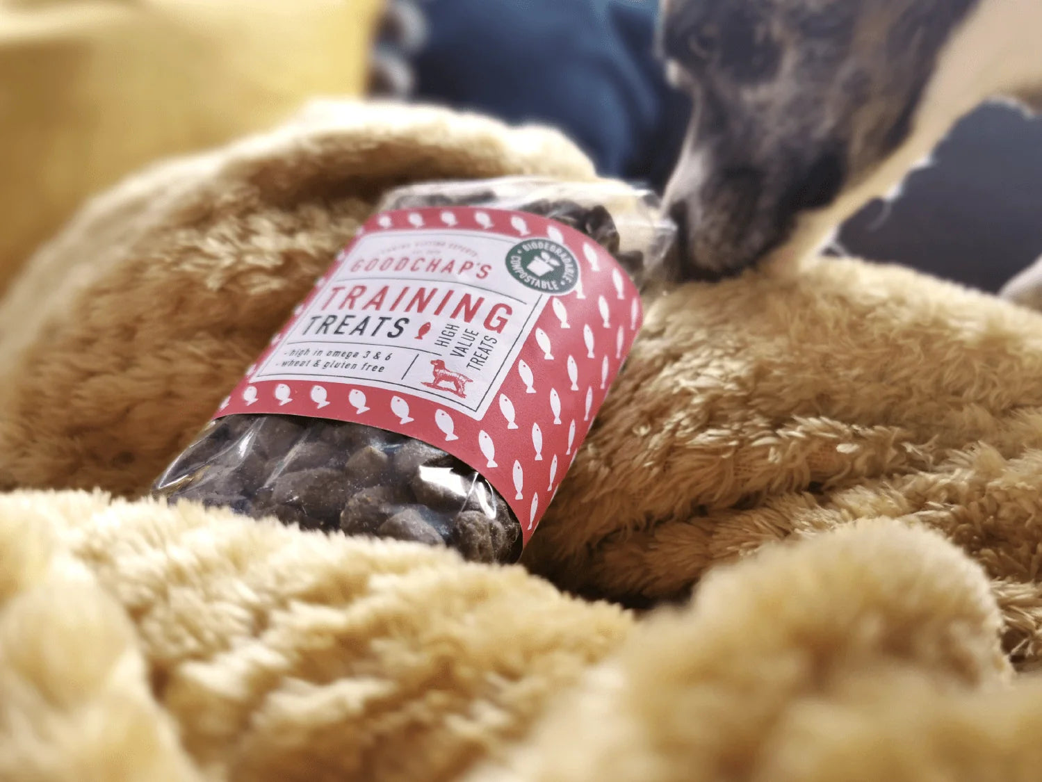 Dog Treats
