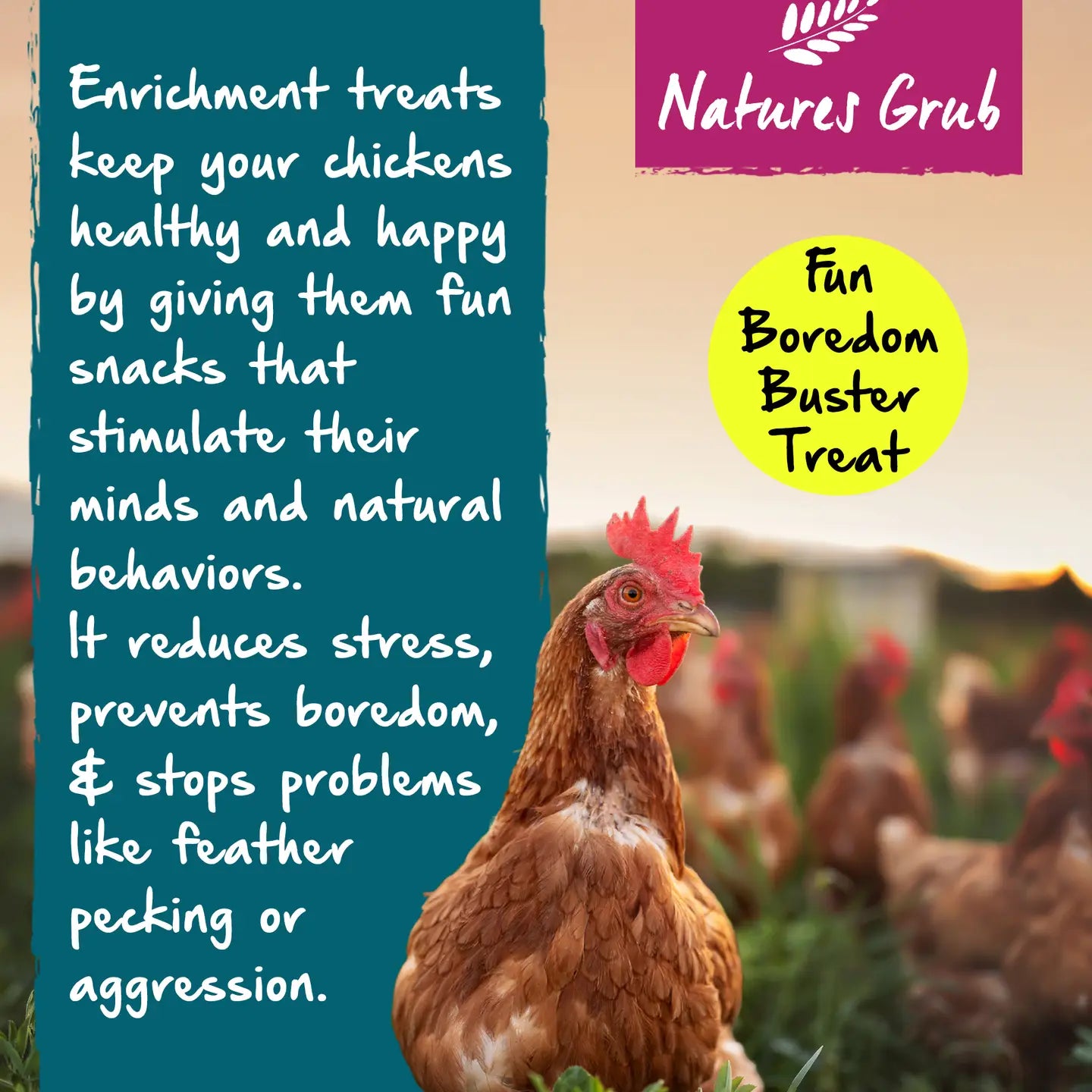 Natures Grub - Garlic, Herbs & Seaweed Pecking Block 330g