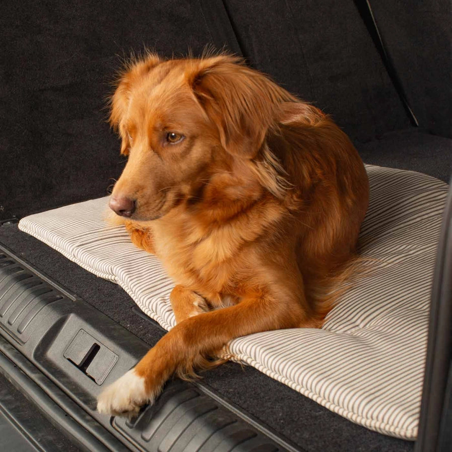 Lords & Labradors - Travel Mat in Regency Stripe