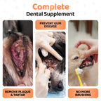 Our Dogs Life Plaque Remover for Dogs