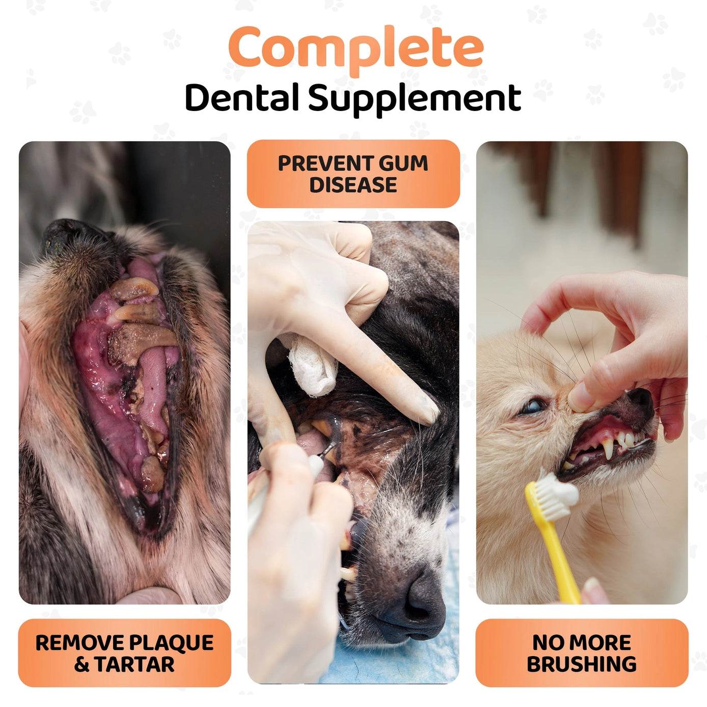 Our Dogs Life Dental Foam