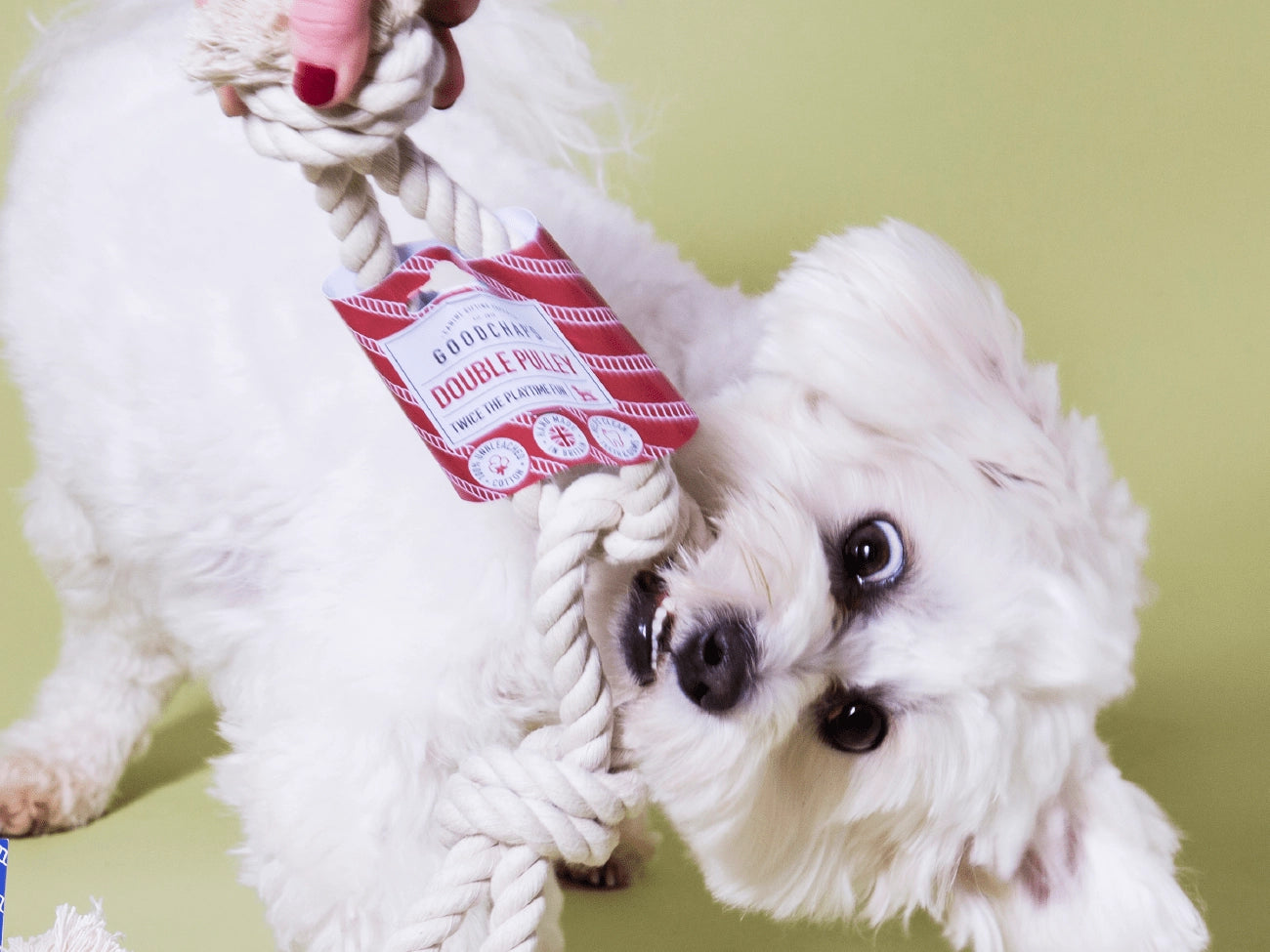 Goodchaps Double Pulley Dog Rope Toy