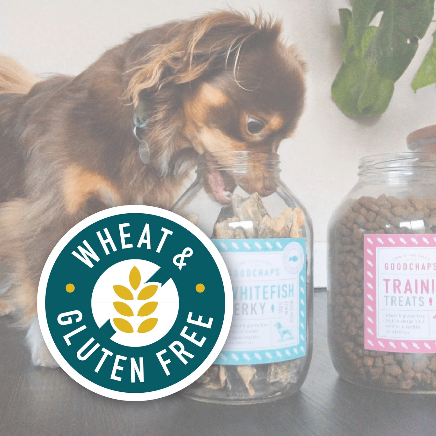 Goodchaps Poultry Training Treats