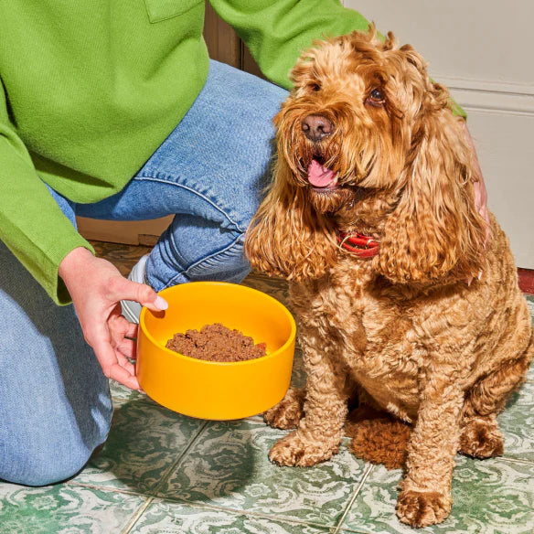 Nutriment Gently Steamed Puppy Turkey 395g