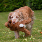 Ancol Heritage Collection Squeaky Hare