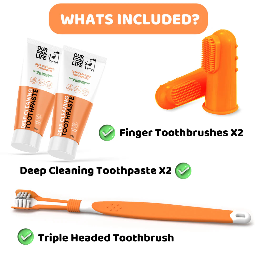 Our Dogs Life Dog Toothbrushes and Toothpaste