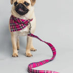 Barkley and Fetch Bright Pink Tartan Dog Lead