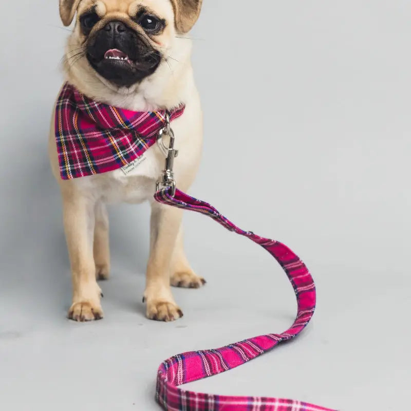 Barkley and Fetch Bright Pink Tartan Dog Lead