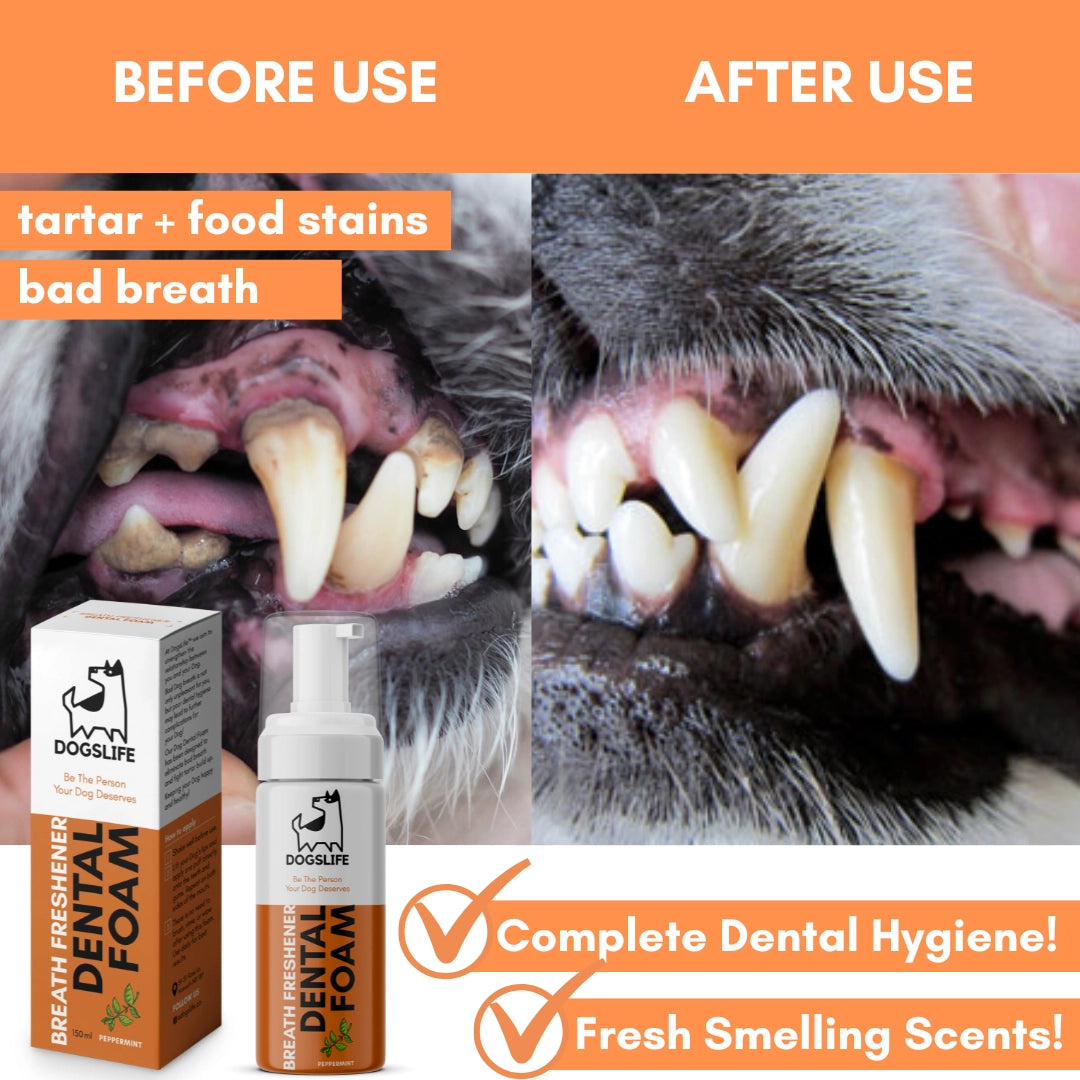 Our Dogs Life Dental Foam