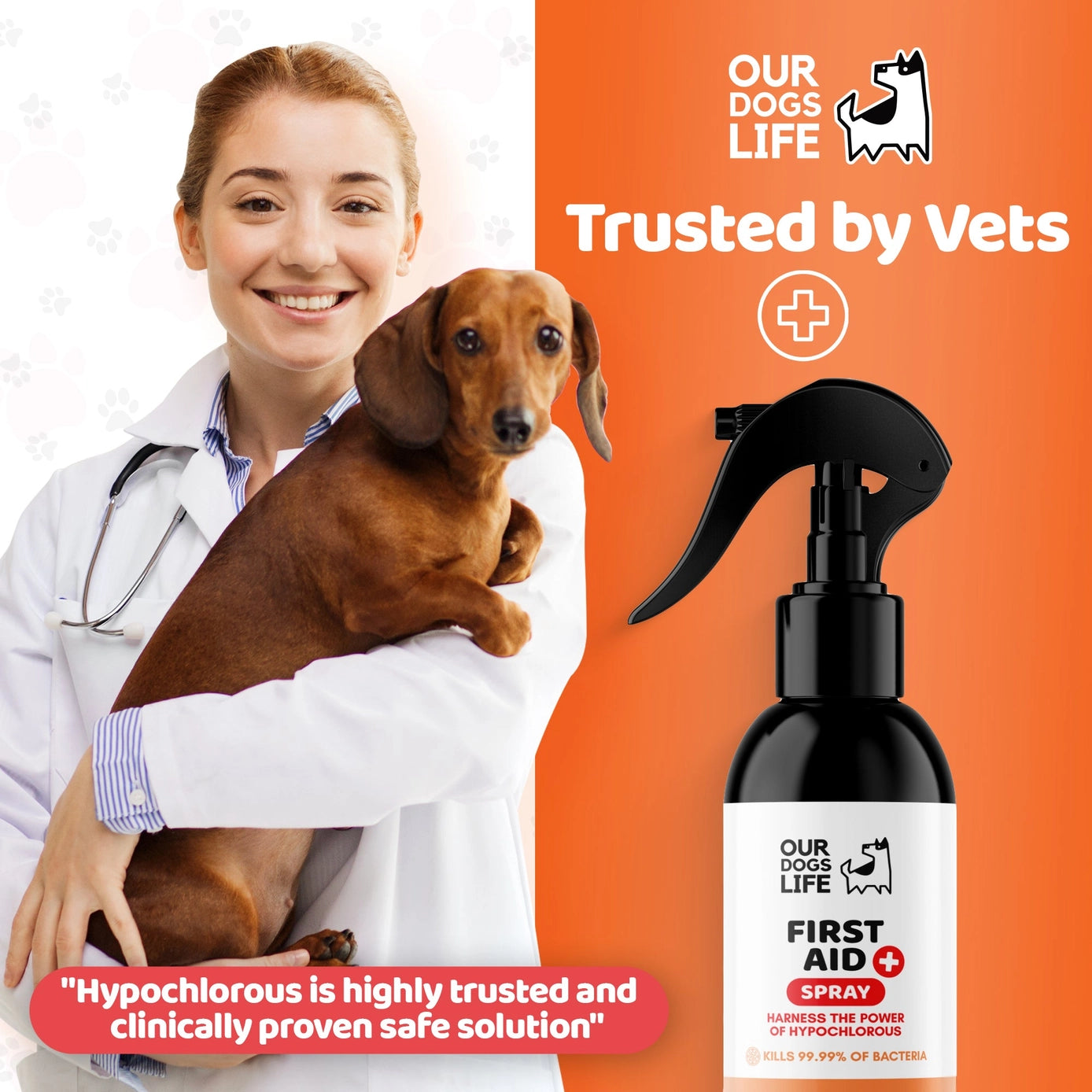Our Dogs Life First Aid Kit Spray