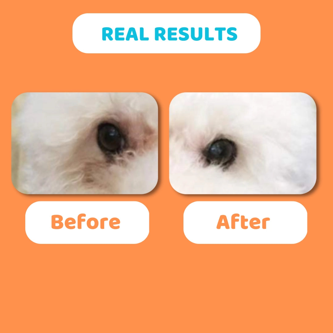 Our Dogs Life Eye Drops For Dogs