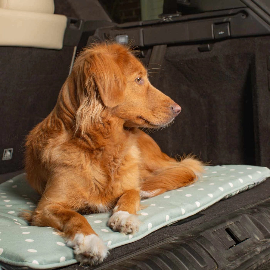 Lords & Labradors - Travel Mat in Duck Egg Spot
