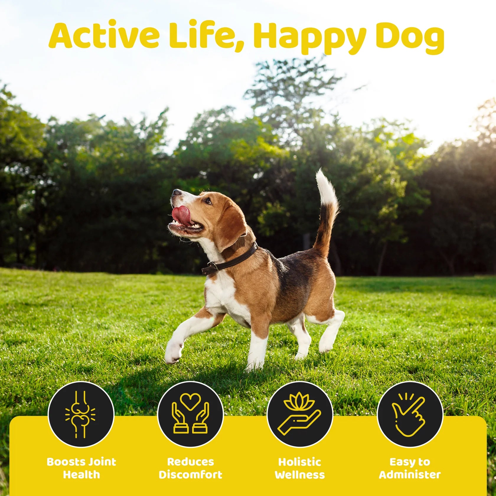 Our Dogs Life Joint & Hip Supplement Drops for Dogs