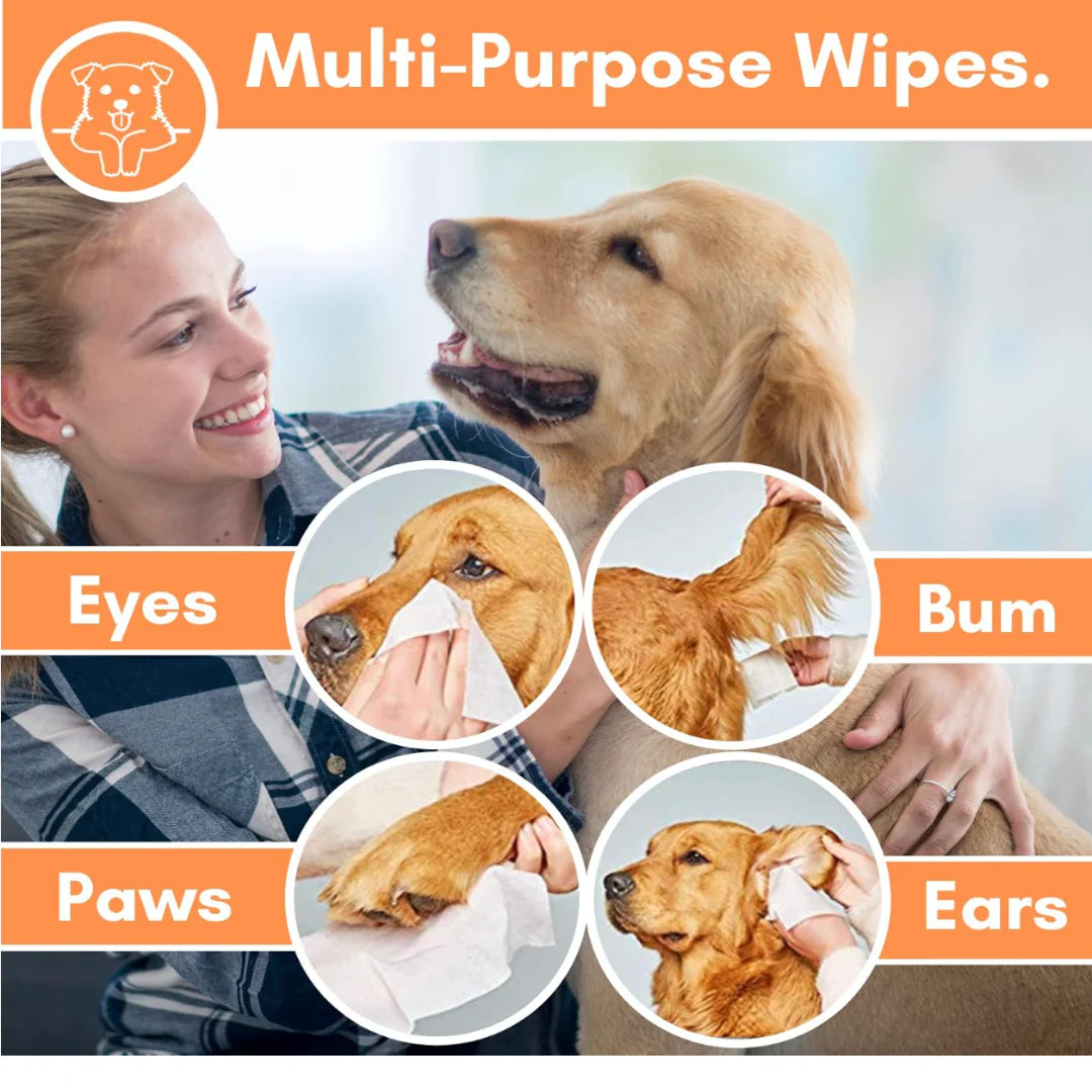 Our Dogs Life Unscented Dog Grooming Wipes