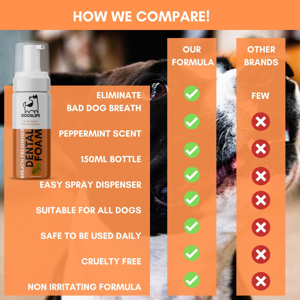 Our Dogs Life Dental Foam
