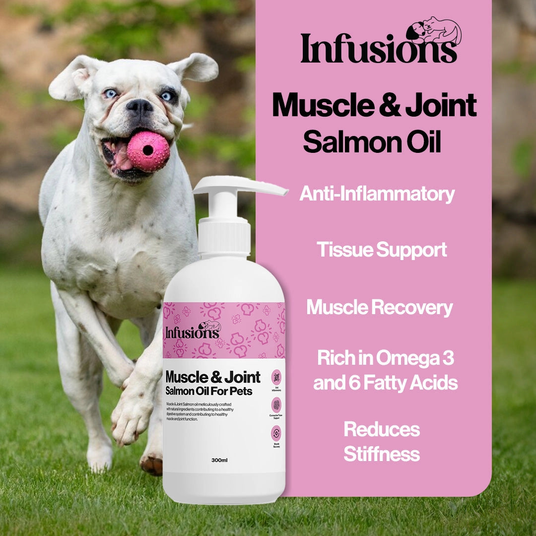 Infusions Muscle and Joint Salmon Oil
