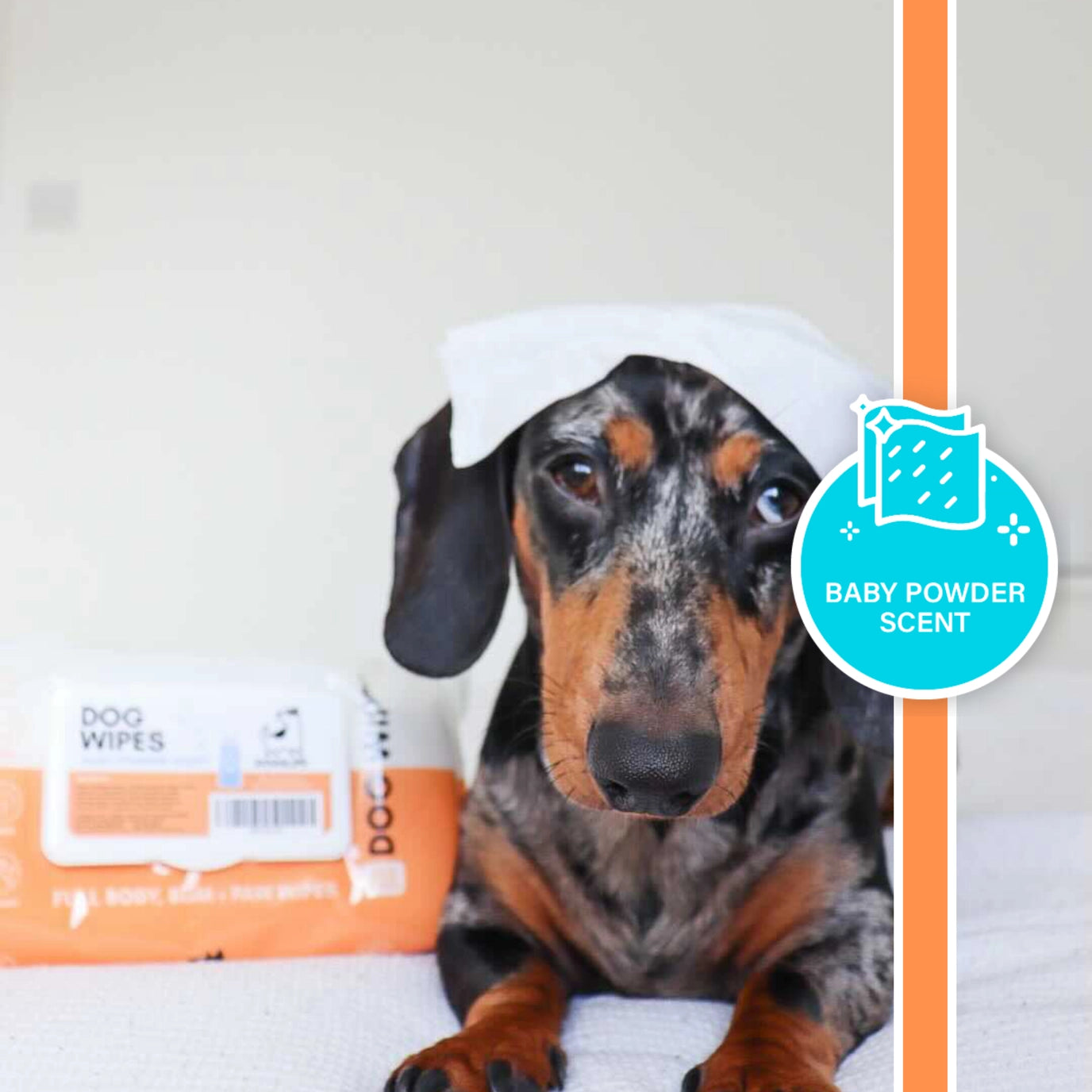 Our Dogs Life - Scented Dog Wipes