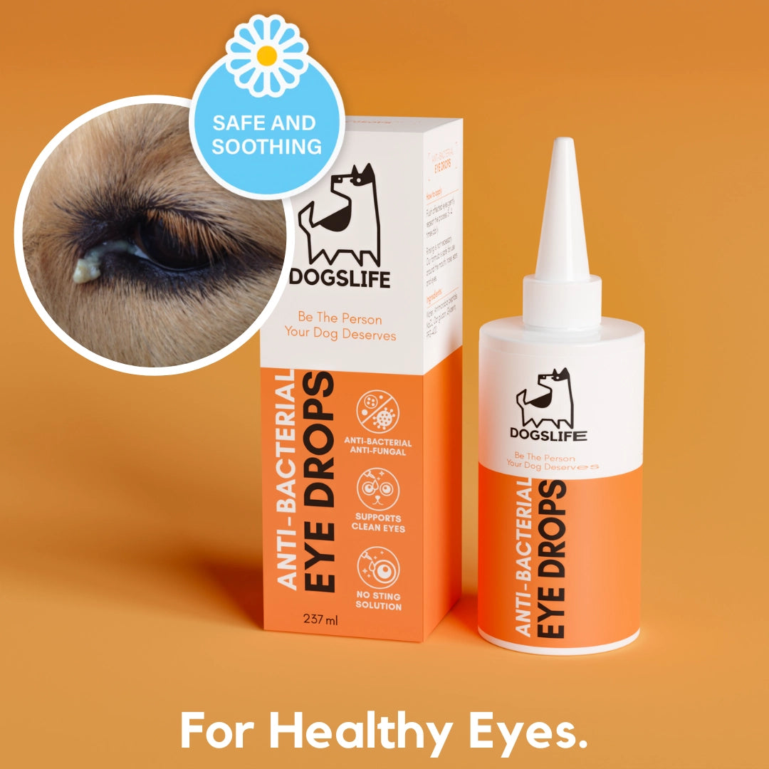 Our Dogs Life Eye Drops For Dogs