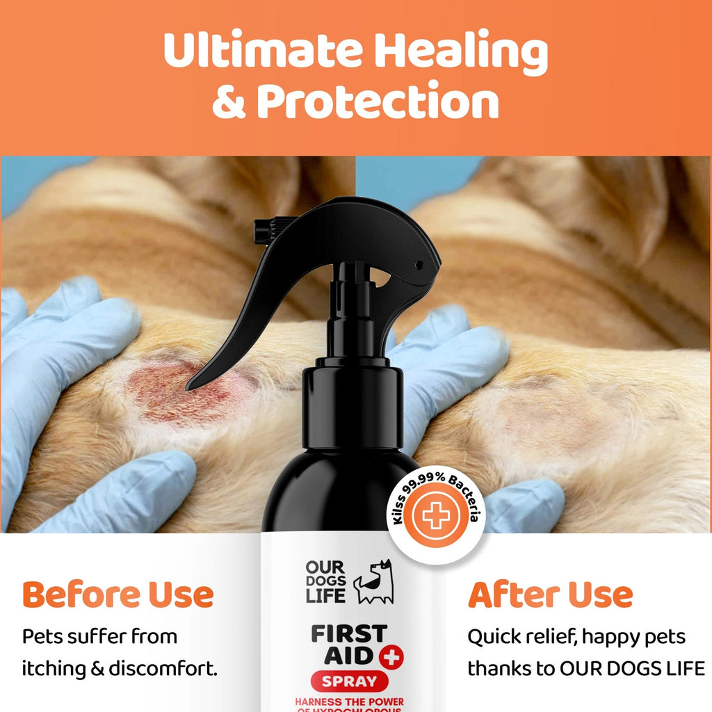 Our Dogs Life First Aid Kit Spray