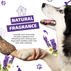Our Dogs Life Paw Cleaner Shampoo with Towel
