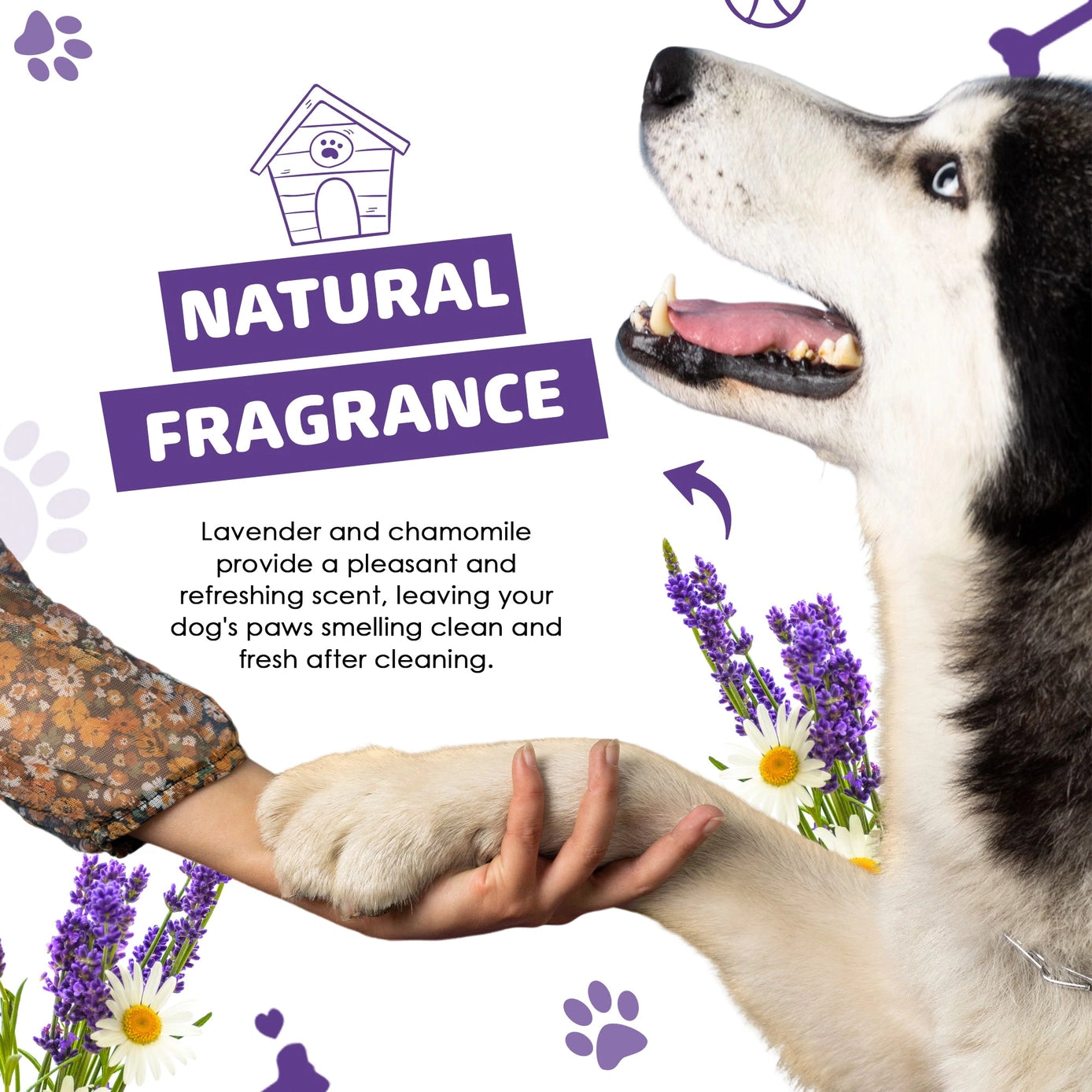 Our Dogs Life Paw Cleaner Shampoo with Towel