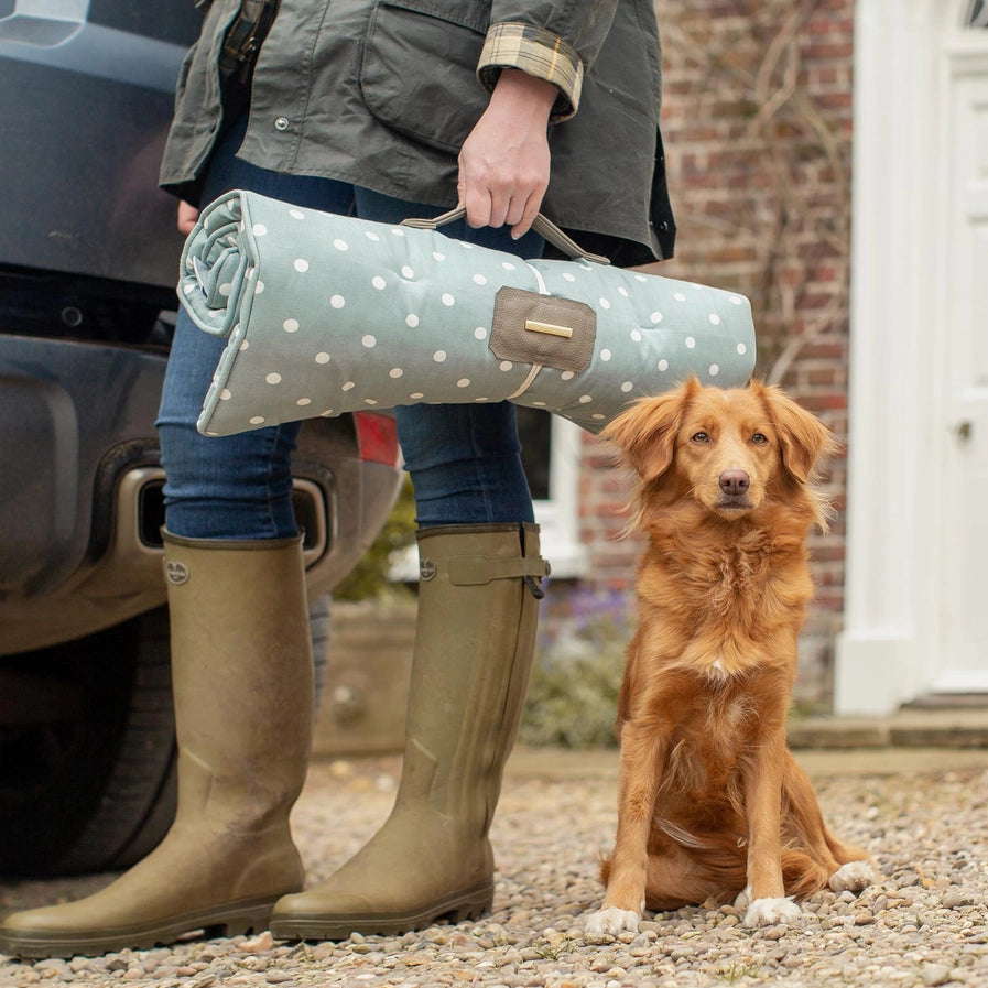 Lords & Labradors - Travel Mat in Duck Egg Spot