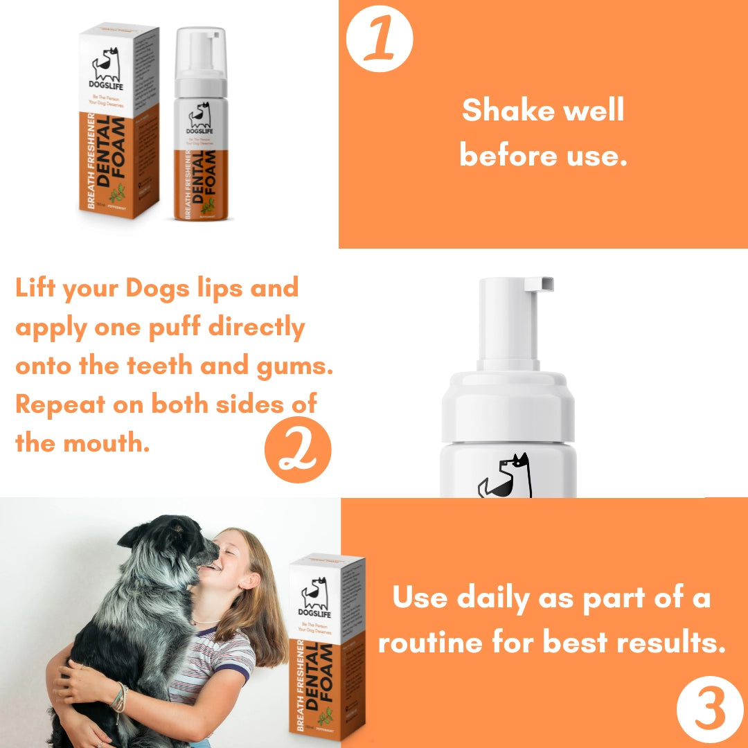Our Dogs Life Dental Foam