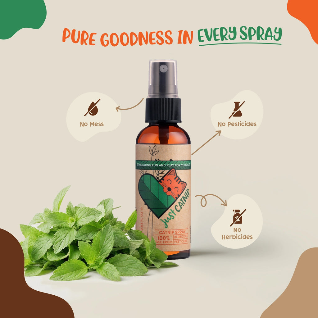 Just Catnip - Organic Catnip Spray