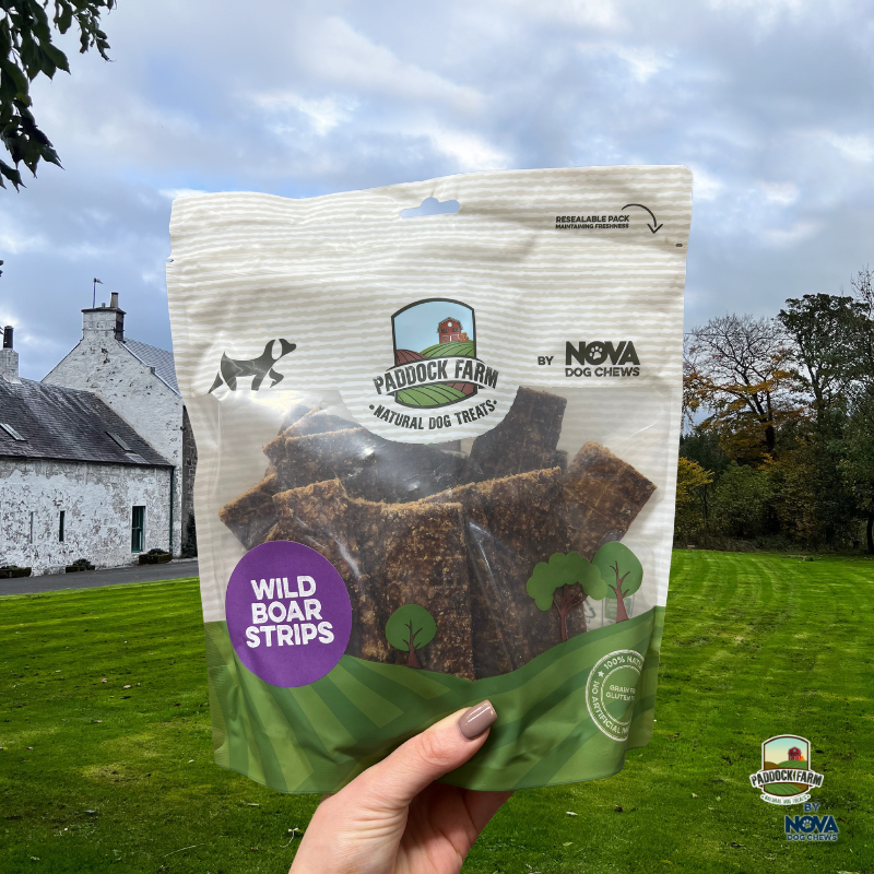 Paddock Farm 100% Wild Boar Strips (500g)