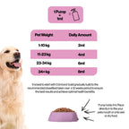 Infusions Muscle and Joint Salmon Oil
