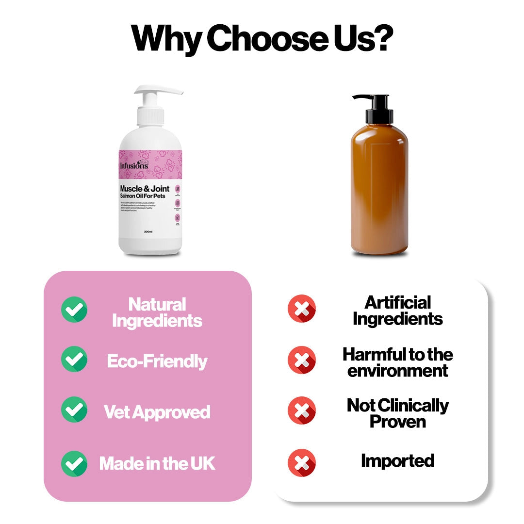 Infusions Muscle and Joint Salmon Oil