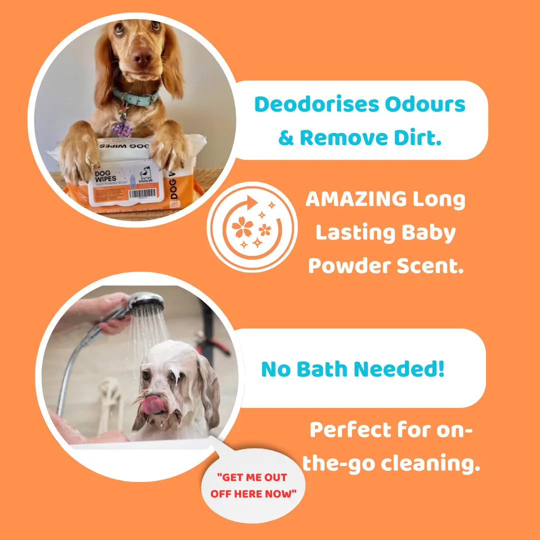 Our Dogs Life - Scented Dog Wipes