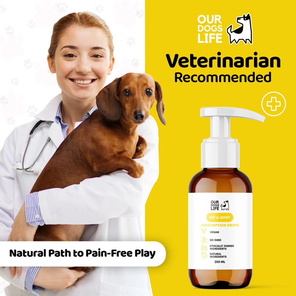 Our Dogs Life Joint & Hip Supplement Drops for Dogs
