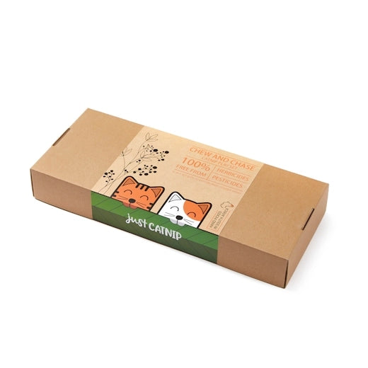 Just Catnip - Chew and Chase Catnip Play Set