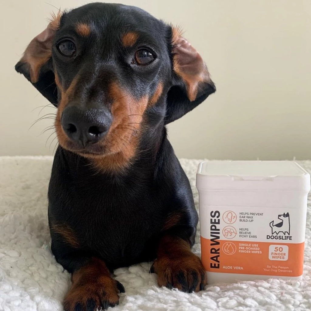 Our Dogs Life Dog Ear Wipes
