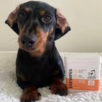 Our Dogs Life Dog Ear Wipes