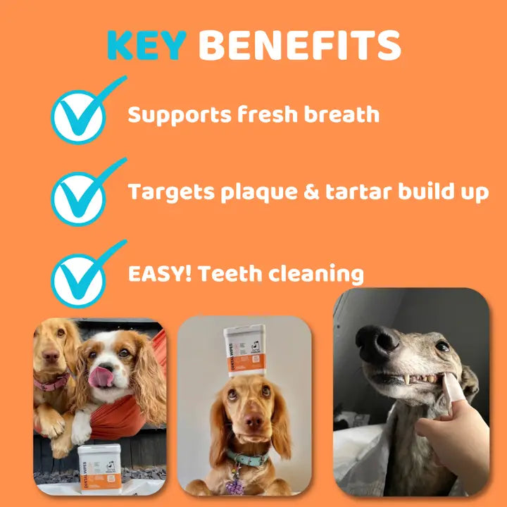 Our Dogs Life - Dog Teeth Cleaning Wipes