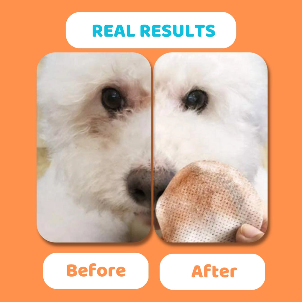 Our Dogs Life Eye Wipes For Dogs