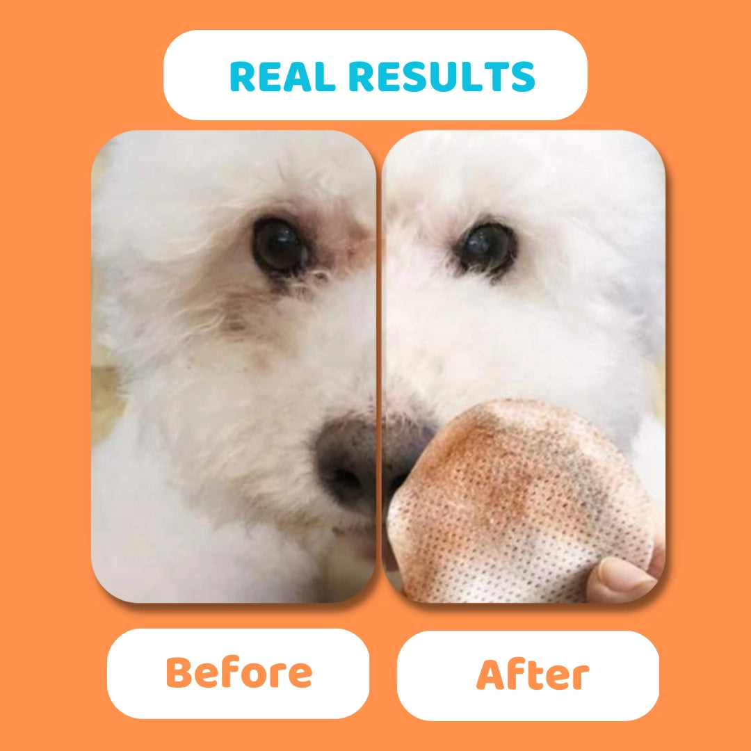 Our Dogs Life Eye Wipes For Dogs