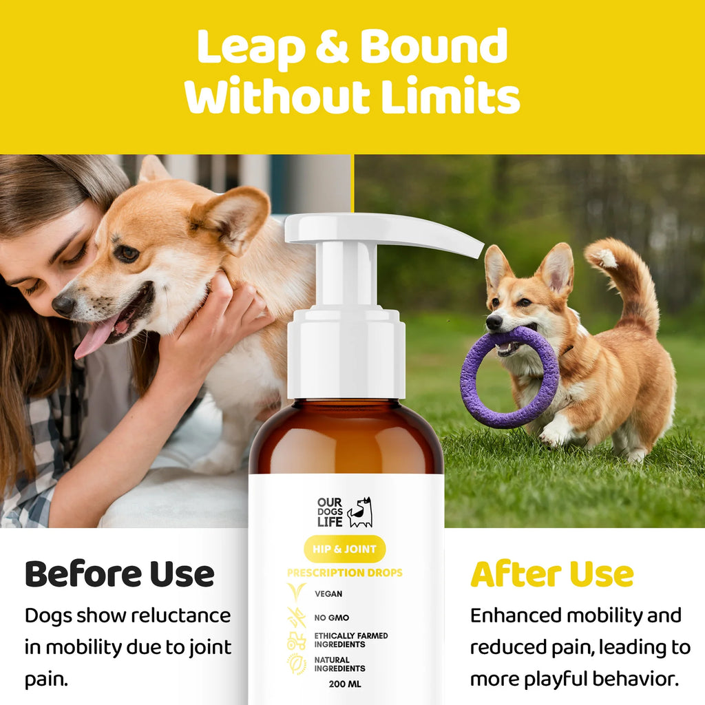 Our Dogs Life Joint & Hip Supplement Drops for Dogs