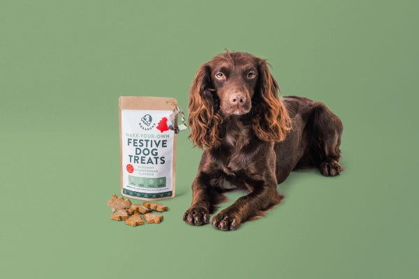 Dog & Bond Make your Own Festive Dog Treats