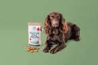 Dog & Bond Make your Own Festive Dog Treats