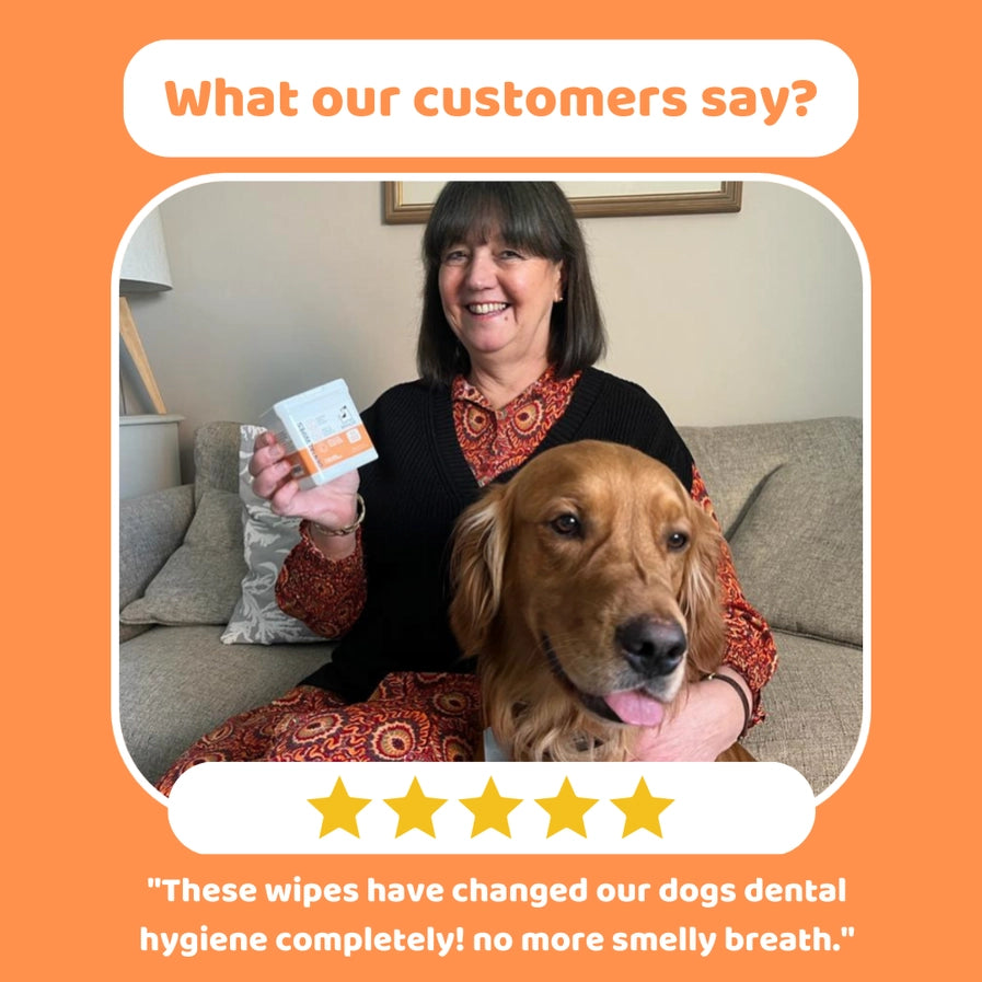 Our Dogs Life - Dog Teeth Cleaning Wipes