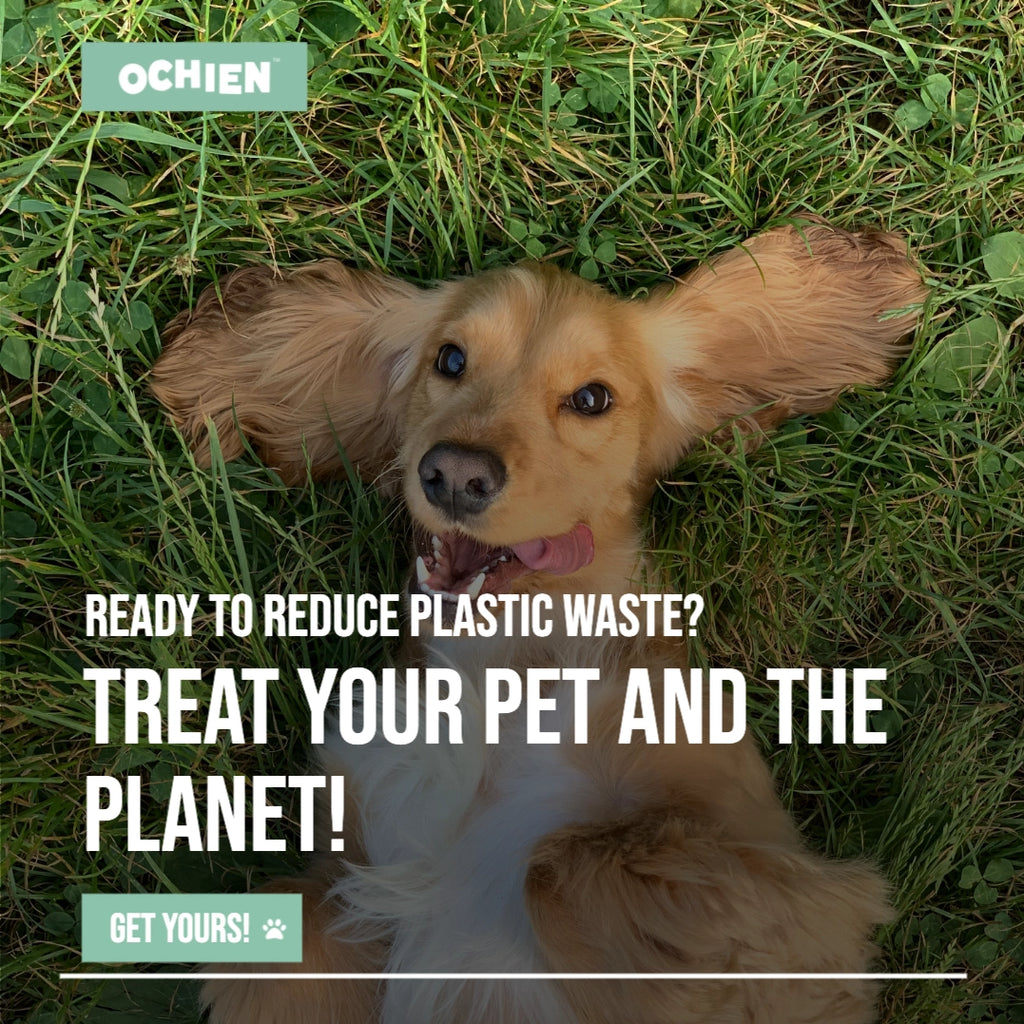 Ochien Recycled Ocean Plastic Dog Bowl