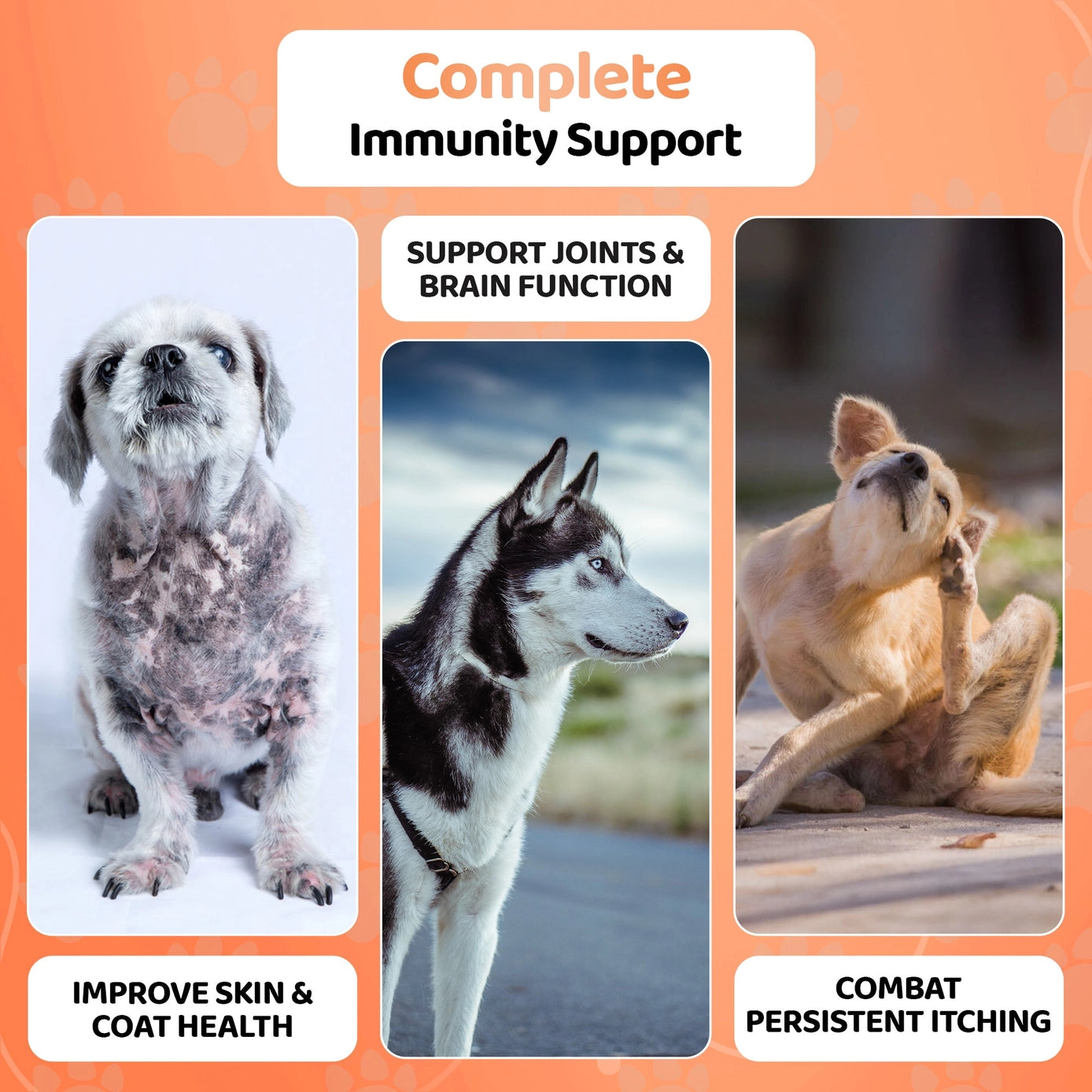 Our Dogs Life Salmon Oil for Dogs