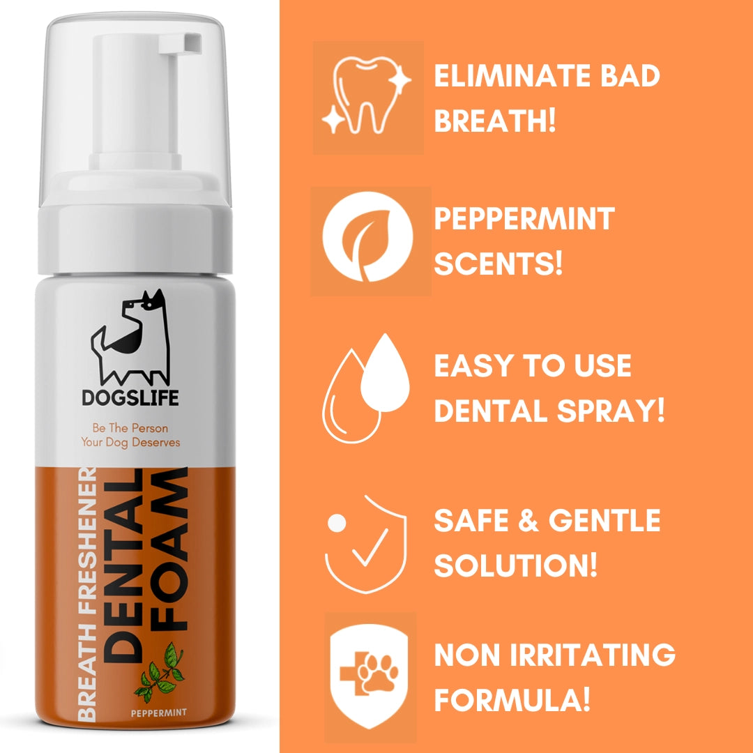 Our Dogs Life Dental Foam
