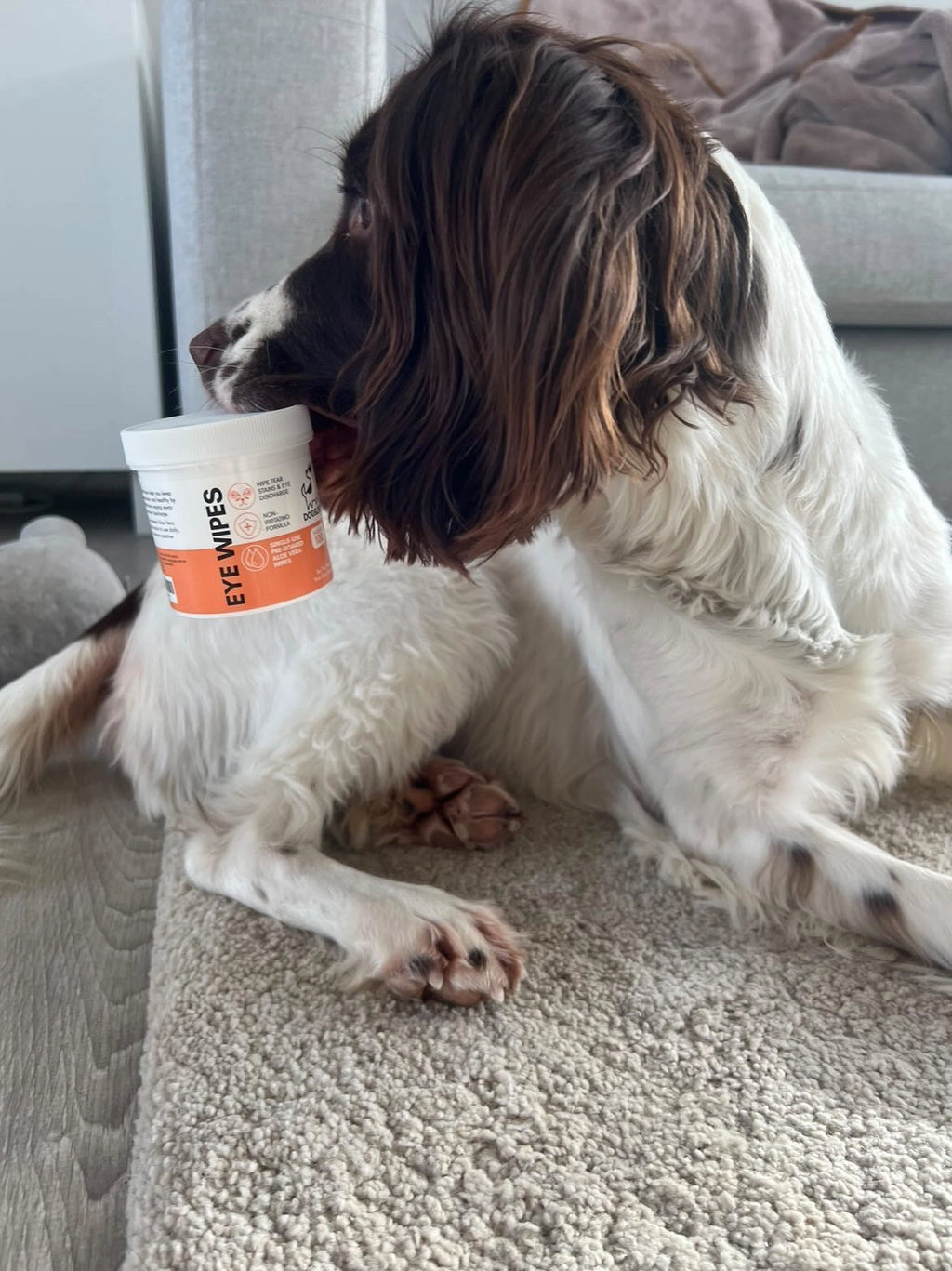 Our Dogs Life Eye Wipes For Dogs
