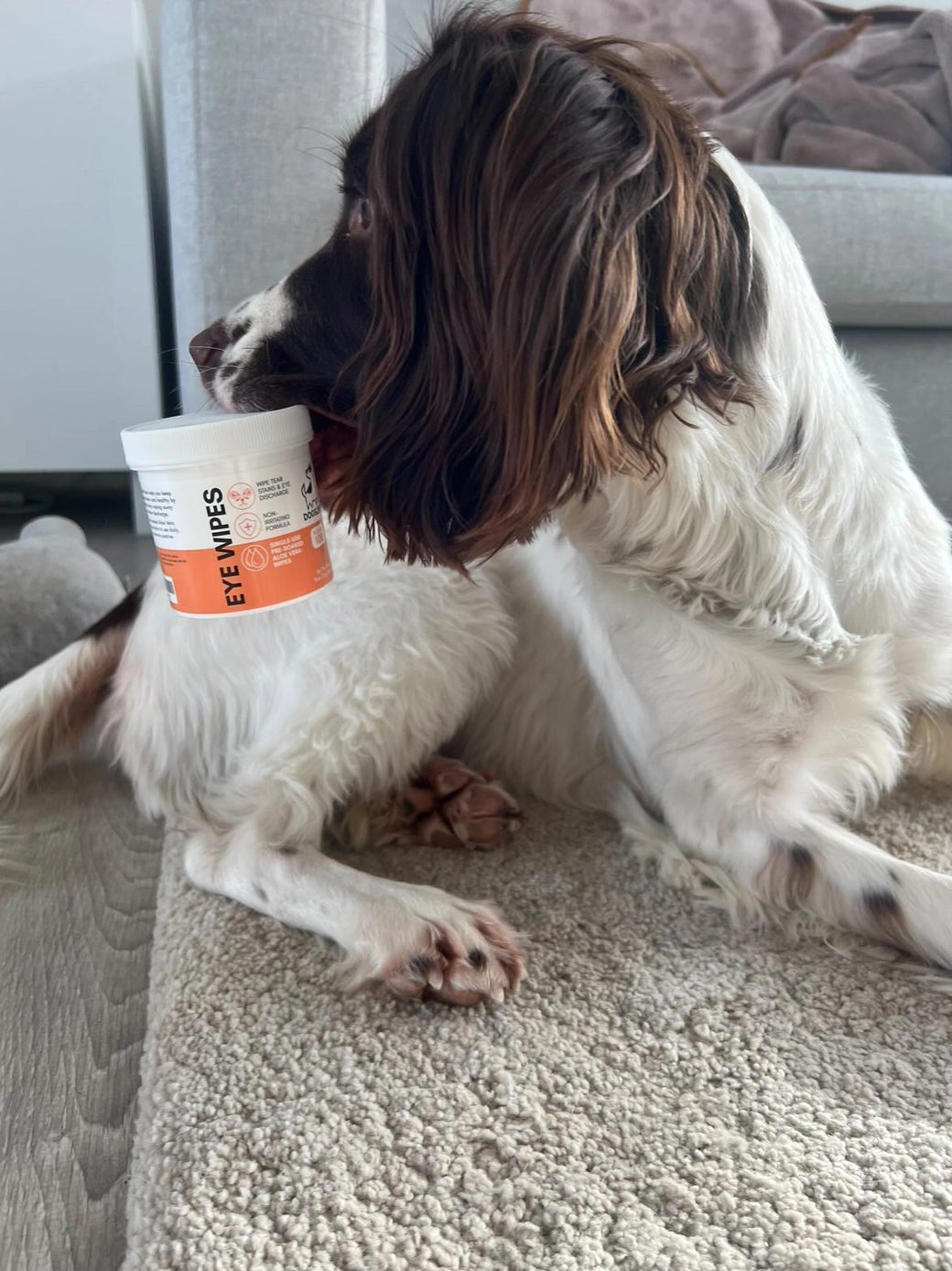 Our Dogs Life Eye Wipes For Dogs